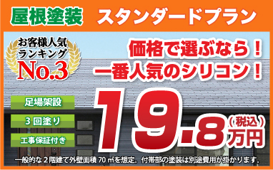 屋根塗装スタンダードプラン 価格で選ぶなら!一番人気のシリコン!税込19.8万円